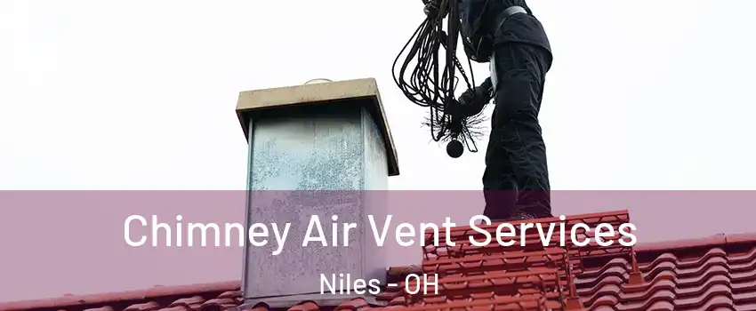  Chimney Air Vent Services Niles - OH