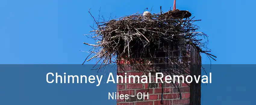  Chimney Animal Removal Niles - OH