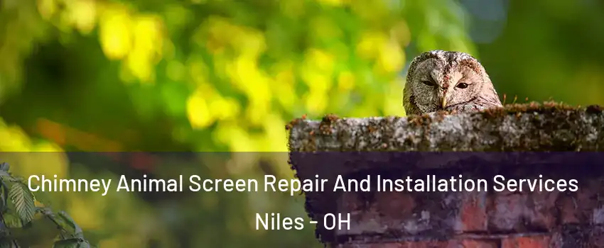  Chimney Animal Screen Repair And Installation Services Niles - OH