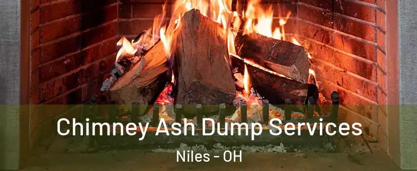  Chimney Ash Dump Services Niles - OH