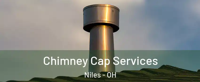  Chimney Cap Services Niles - OH