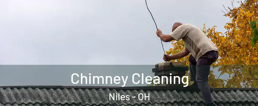  Chimney Cleaning Niles - OH