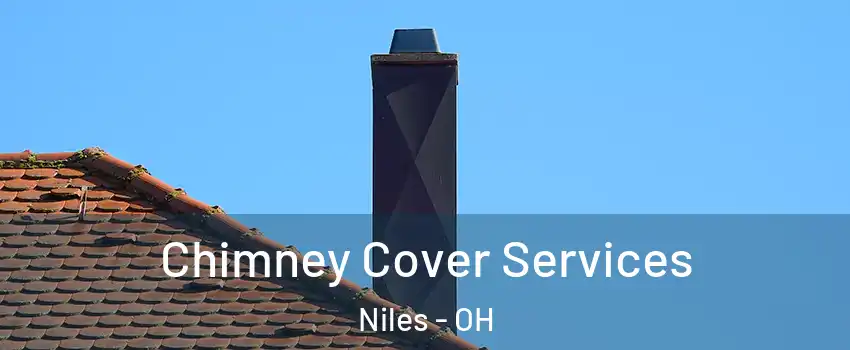  Chimney Cover Services Niles - OH