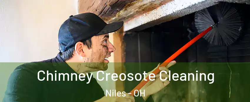  Chimney Creosote Cleaning Niles - OH