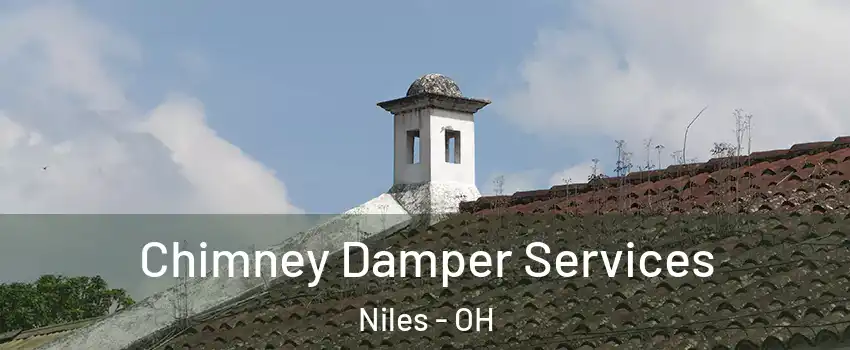  Chimney Damper Services Niles - OH