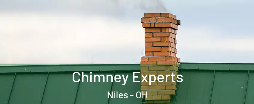  Chimney Experts Niles - OH