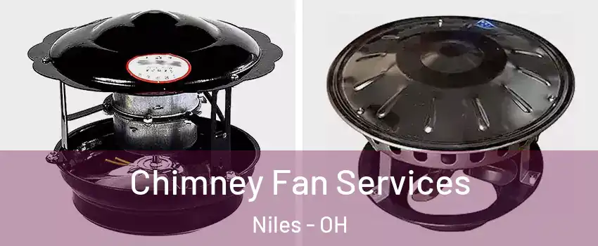  Chimney Fan Services Niles - OH