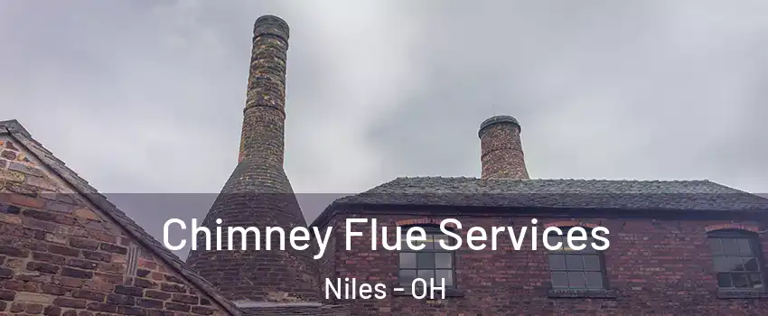  Chimney Flue Services Niles - OH