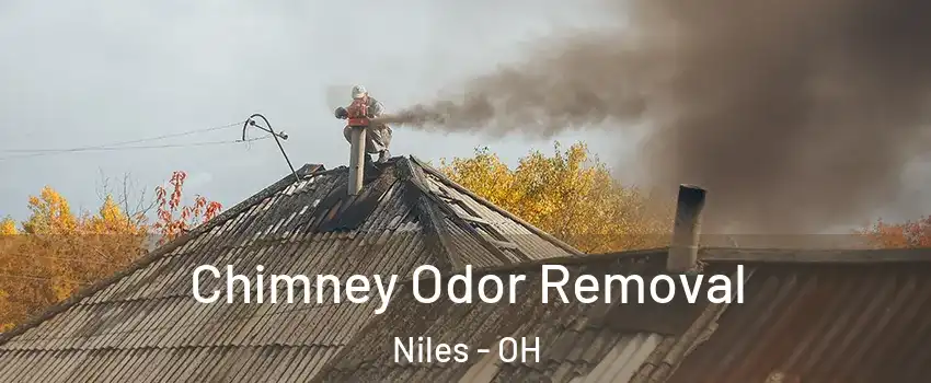  Chimney Odor Removal Niles - OH