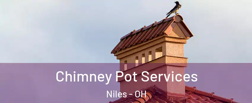  Chimney Pot Services Niles - OH
