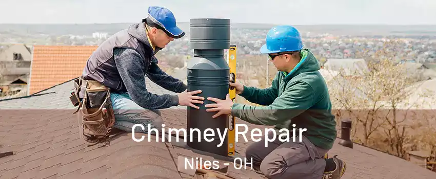  Chimney Repair Niles - OH