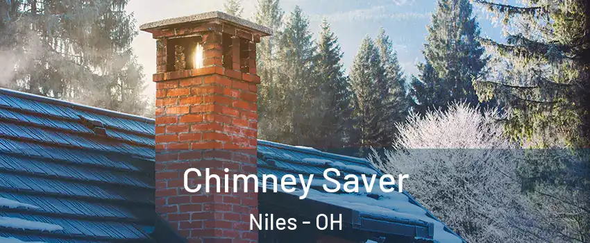  Chimney Saver Niles - OH