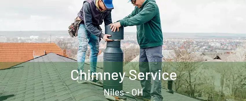  Chimney Service Niles - OH