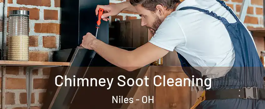  Chimney Soot Cleaning Niles - OH
