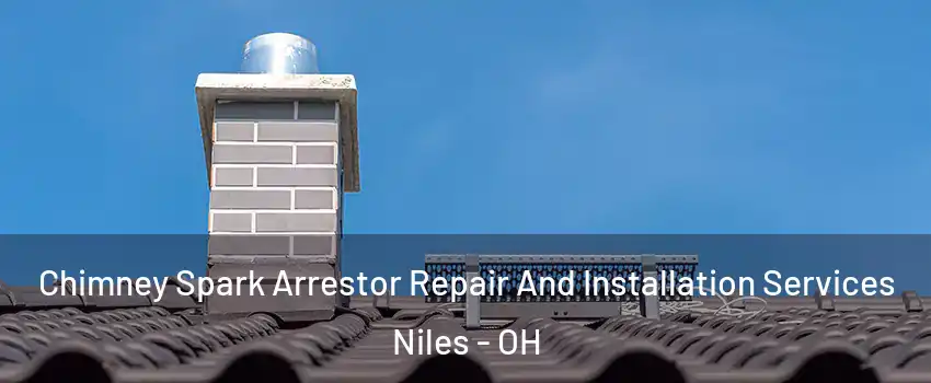  Chimney Spark Arrestor Repair And Installation Services Niles - OH