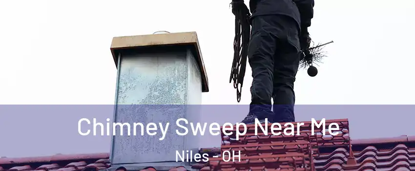  Chimney Sweep Near Me Niles - OH