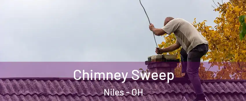  Chimney Sweep Niles - OH