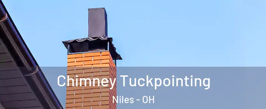  Chimney Tuckpointing Niles - OH