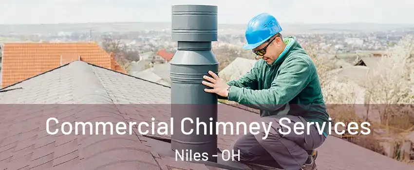  Commercial Chimney Services Niles - OH