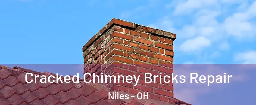  Cracked Chimney Bricks Repair Niles - OH