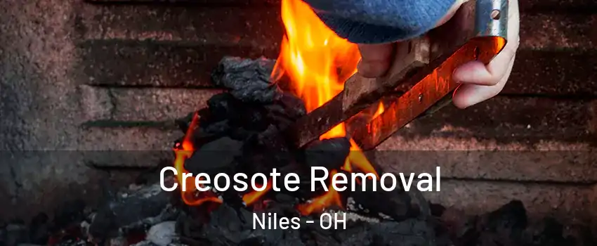  Creosote Removal Niles - OH