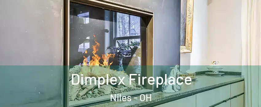  Dimplex Fireplace Niles - OH