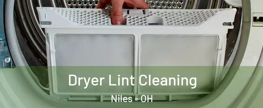  Dryer Lint Cleaning Niles - OH