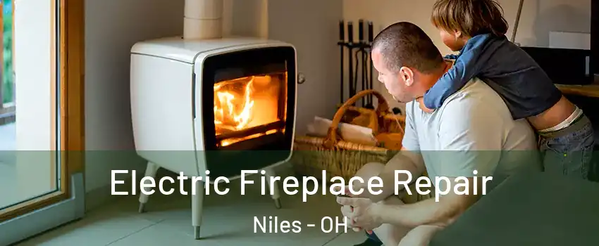  Electric Fireplace Repair Niles - OH