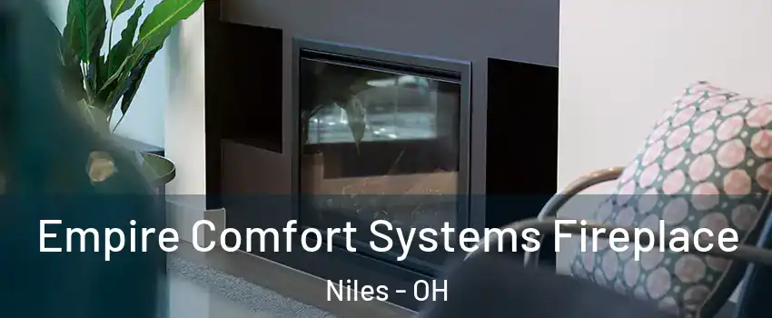  Empire Comfort Systems Fireplace Niles - OH