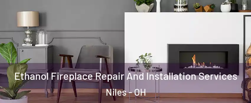  Ethanol Fireplace Repair And Installation Services Niles - OH