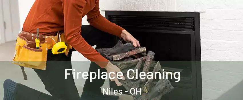  Fireplace Cleaning Niles - OH