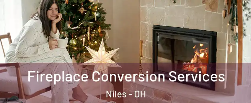  Fireplace Conversion Services Niles - OH