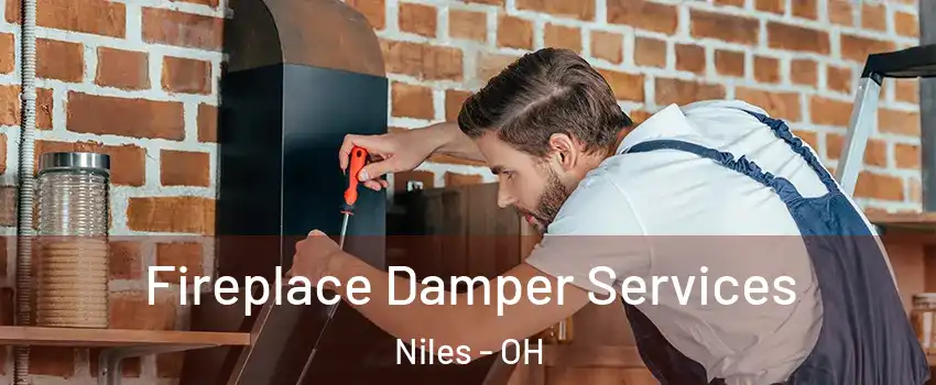  Fireplace Damper Services Niles - OH