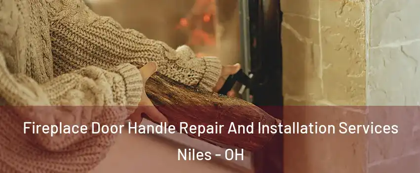  Fireplace Door Handle Repair And Installation Services Niles - OH