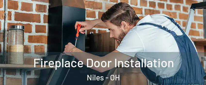  Fireplace Door Installation Niles - OH