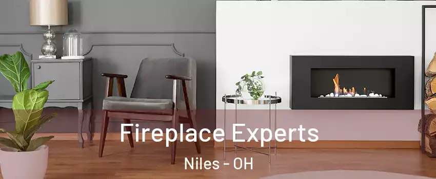  Fireplace Experts Niles - OH