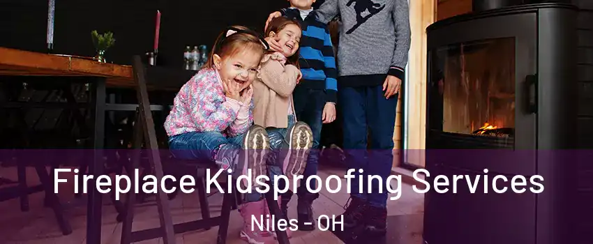  Fireplace Kidsproofing Services Niles - OH