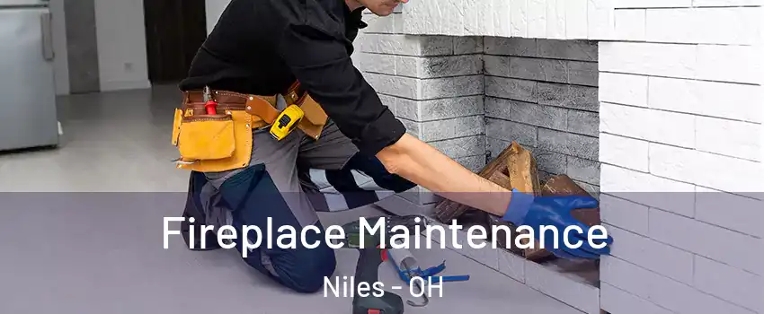  Fireplace Maintenance Niles - OH