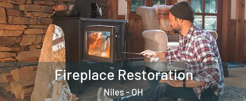  Fireplace Restoration Niles - OH