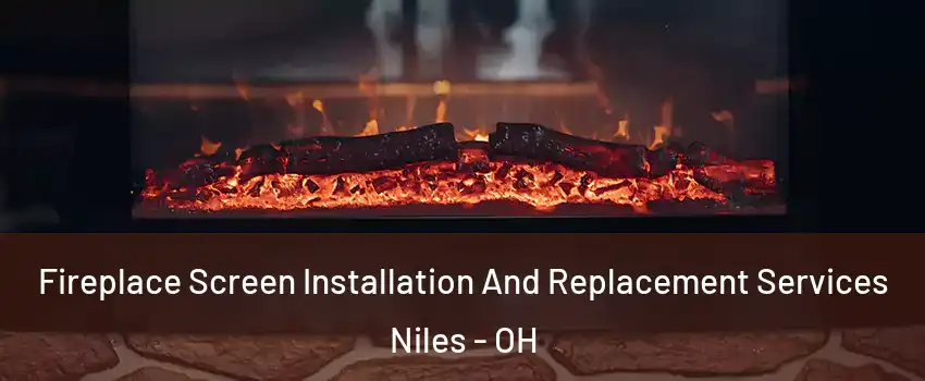  Fireplace Screen Installation And Replacement Services Niles - OH