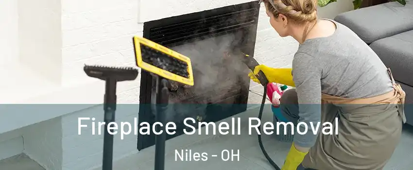  Fireplace Smell Removal Niles - OH