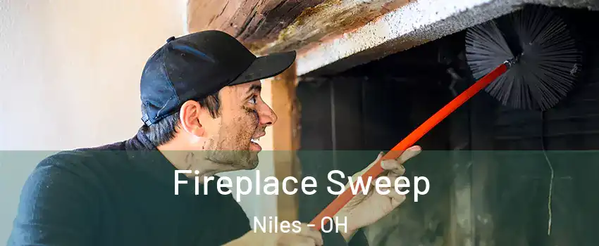 Fireplace Sweep Niles - OH