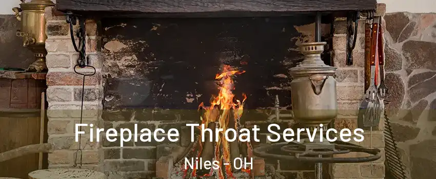 Fireplace Throat Services Niles - OH