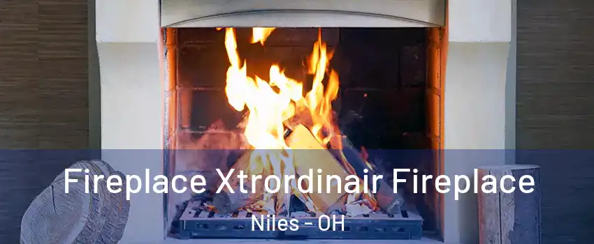  Fireplace Xtrordinair Fireplace Niles - OH