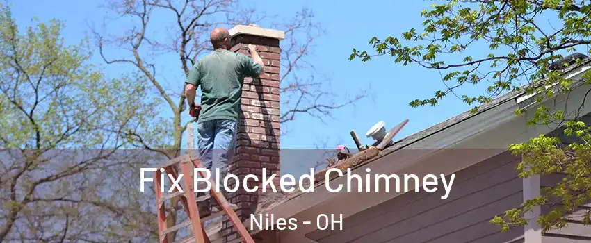 Fix Blocked Chimney Niles - OH
