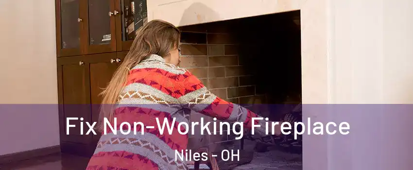  Fix Non-Working Fireplace Niles - OH