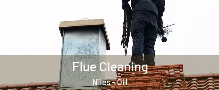  Flue Cleaning Niles - OH
