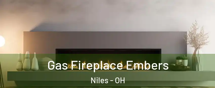  Gas Fireplace Embers Niles - OH