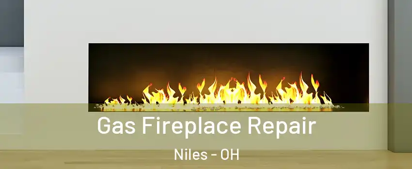  Gas Fireplace Repair Niles - OH
