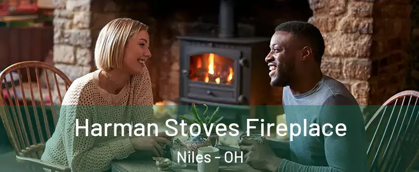 Harman Stoves Fireplace Niles - OH